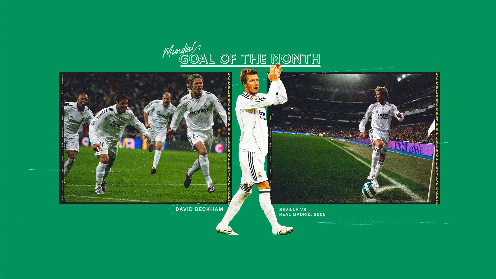 让浙江队在 让浙江队在